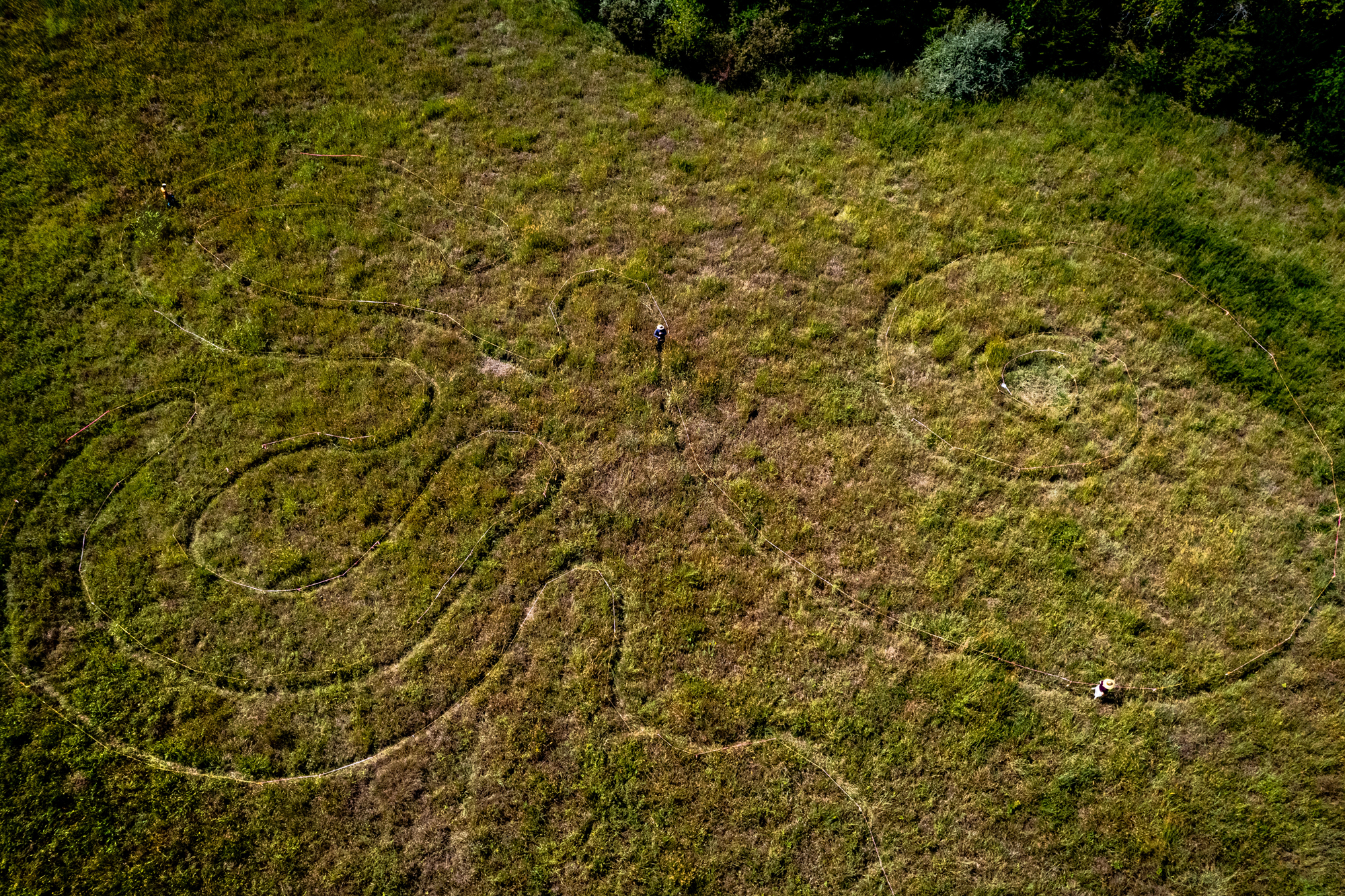 Aerial view of a green field with a labyrinth in the shape of the inner ear