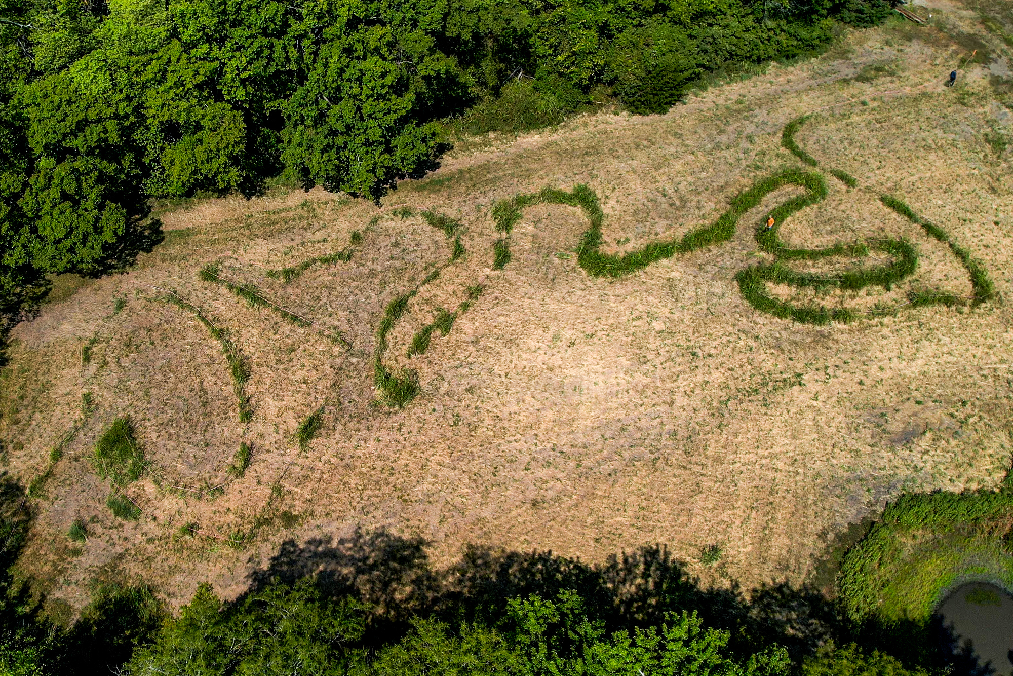 Aerial view of a green field with a labyrinth in the shape of the middle ear