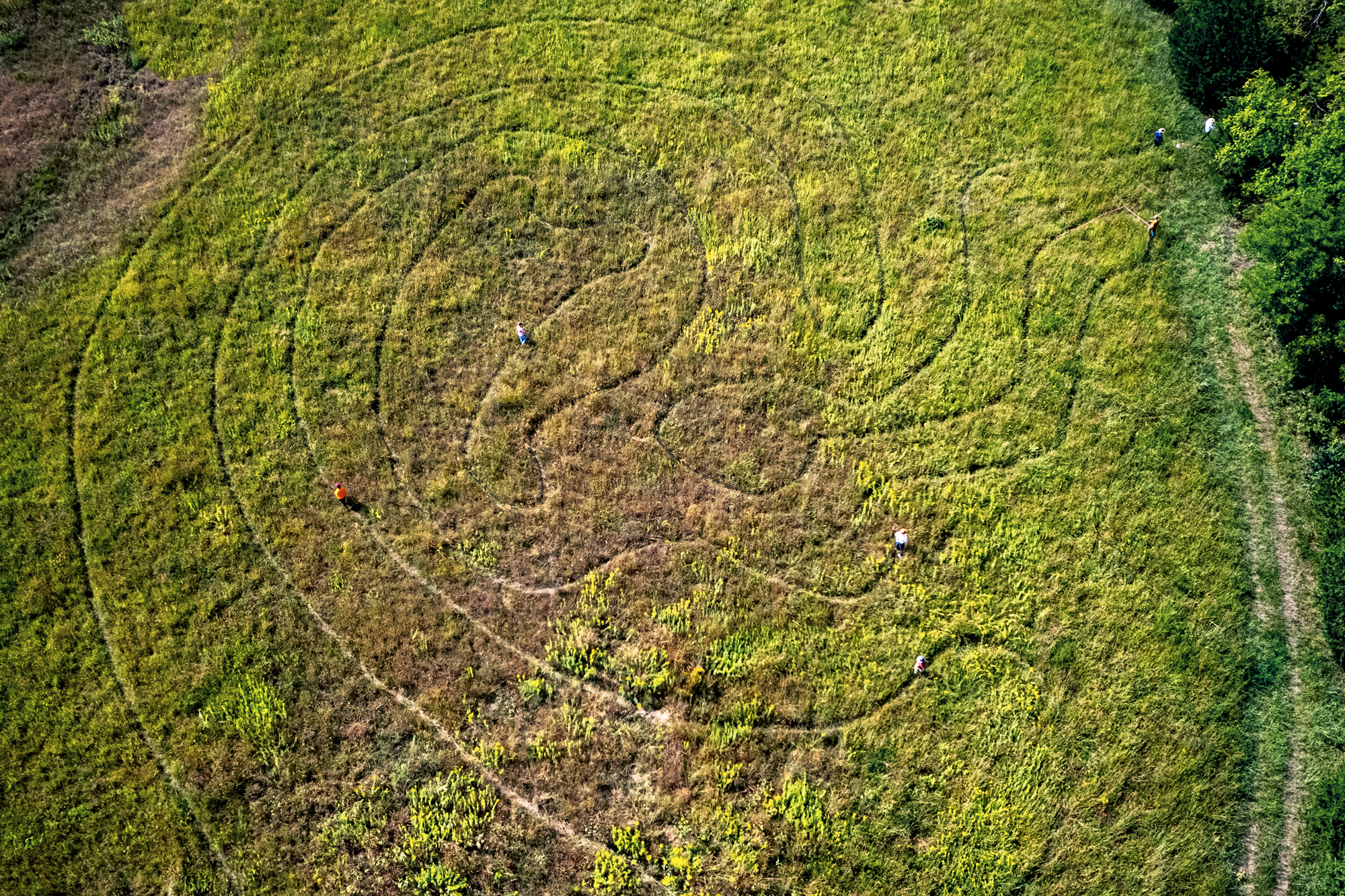 Aerial view of a green field with a labyrinth in the shape of the outer ear