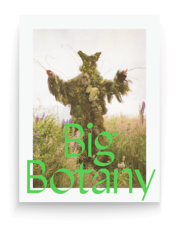 Big Botany Catalogue