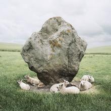 <a href="https://spencerartapps.ku.edu/collection-search#/object/46781" target="_blank"><i>Sheep and Standing Stone, Avebury, England</i> by Barry Andersen</a>