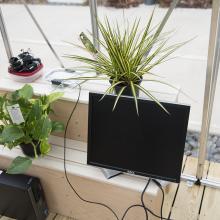 Some of the plants in Kessler's installation <i>After Nature (coding and re-coding nature)</i>