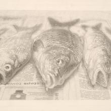 <a href="https://spencerartapps.ku.edu/collection-search#/object/25993" target="_blank"><i>Five Fish Diptych (detail)</i> by Martin Fan Cheng</a>
