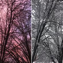"Winter in Kansas" — Lauren Cunningham
