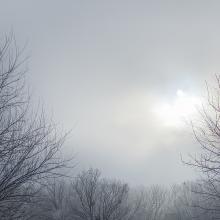 Winter fog — Ryan Waggoner