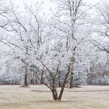 "A week after we buried my grandma in November, her backyard was dressed in hoarfrost that lasted several days." — Sara Johnson