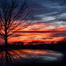 "Sunset 1/5/21 Leavenworth County, KS" — Susan Wolfe