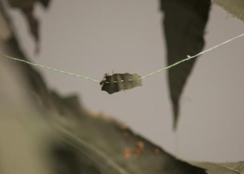 Fragments of army green fabric are loosely stitched together