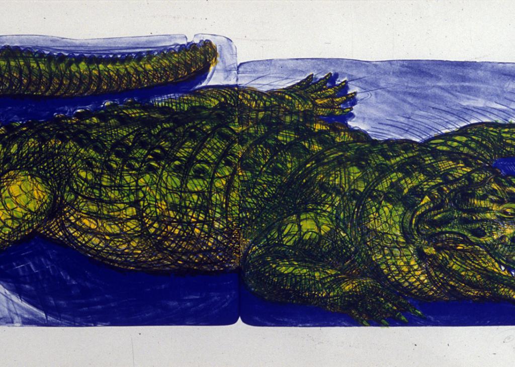 Detailed drawing of an alligator in green against a blue background
