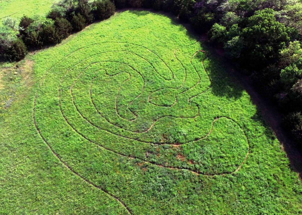 overhead view of a path in the shape of a human ear that wanders through a bright green field bordered by trees