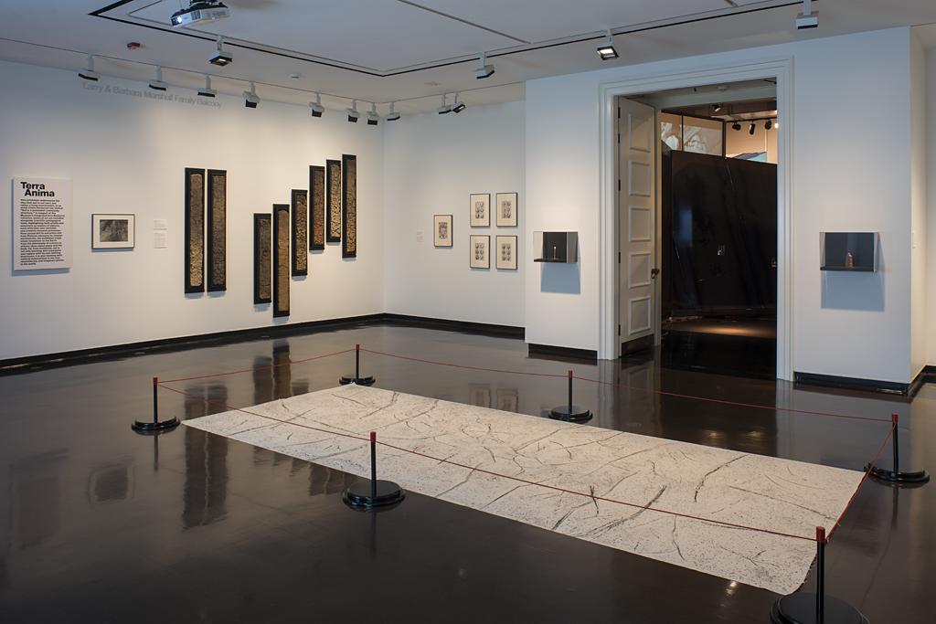 A gallery space with dark shiny floors; a variety of artworks are displayed on the floor and walls
