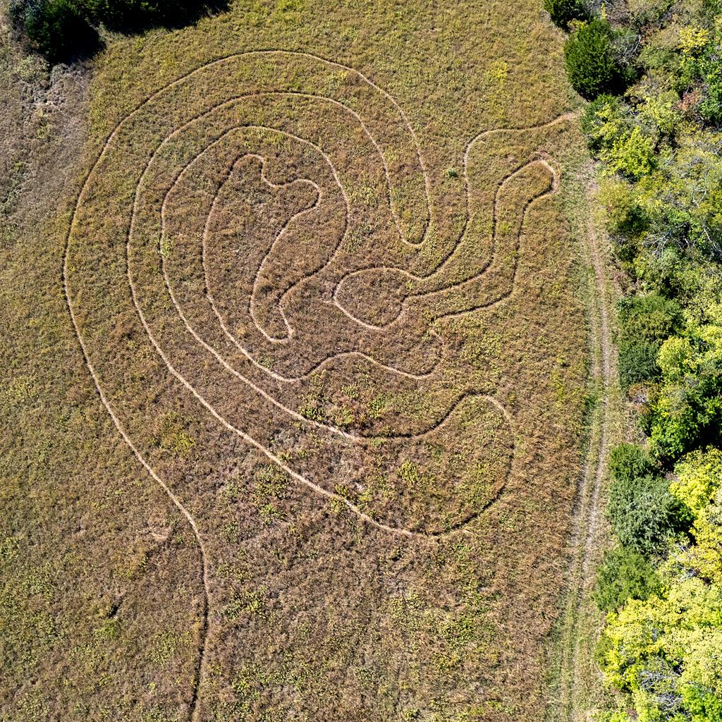 Overhead view of a path in the shape of a human ear in a green-brown field
