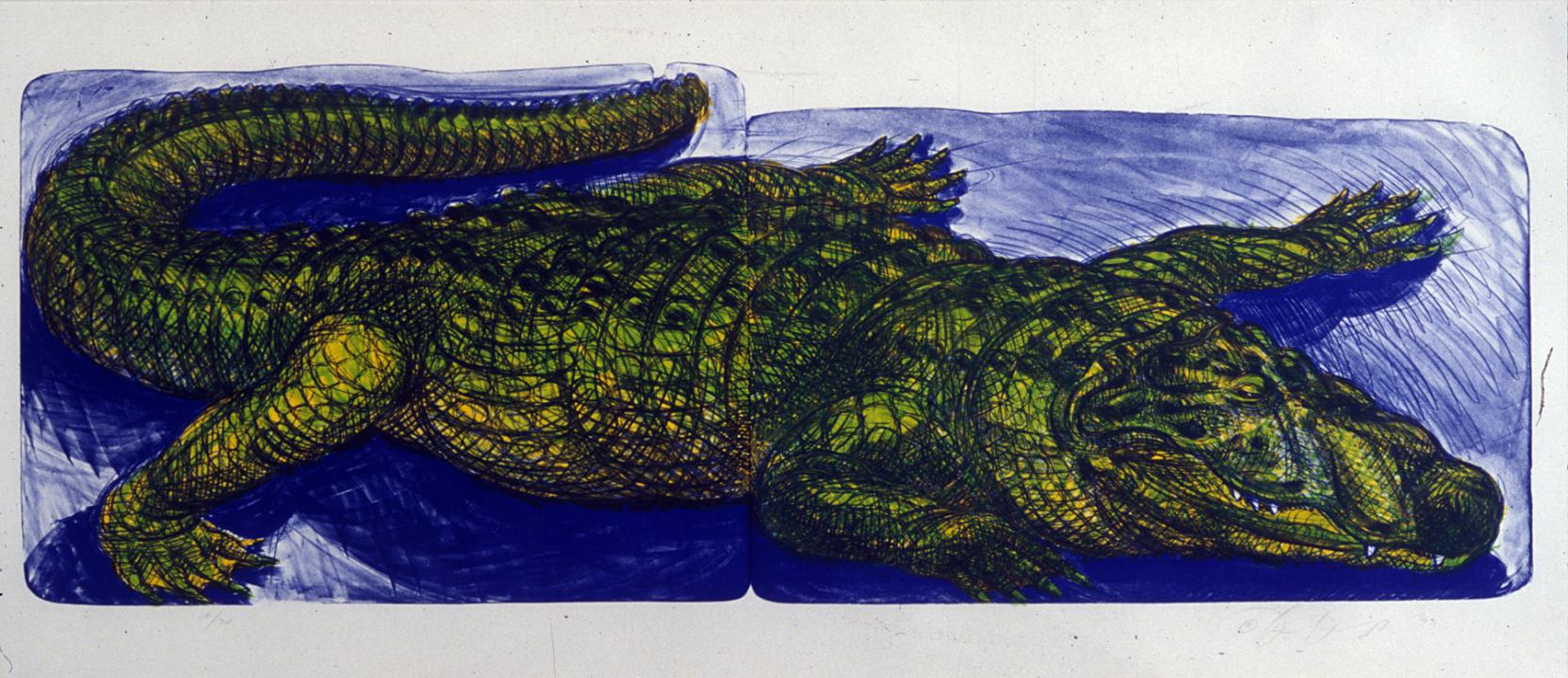 Detailed drawing of an alligator in green against a blue background