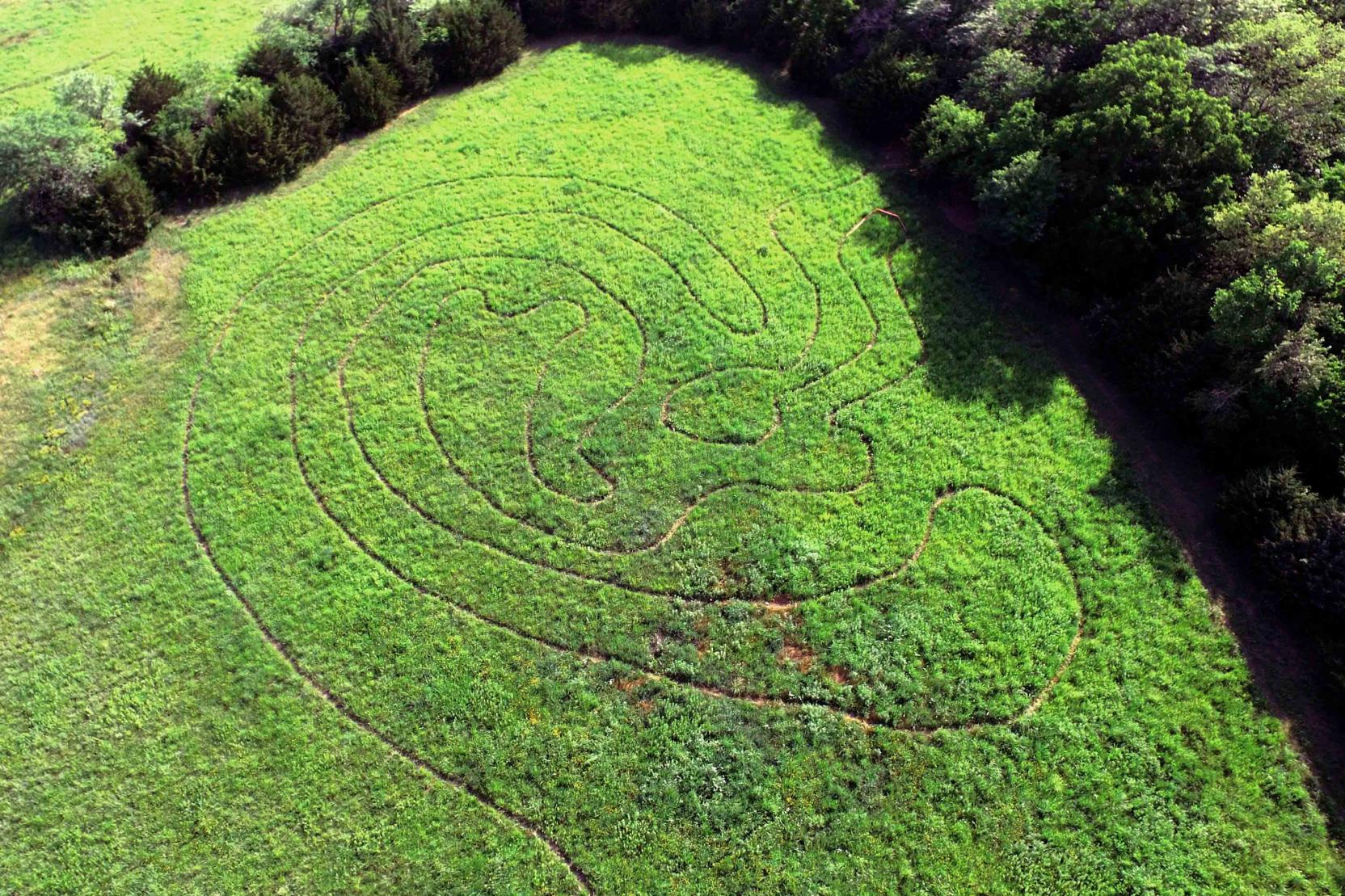 overhead view of a path in the shape of a human ear that wanders through a bright green field bordered by trees