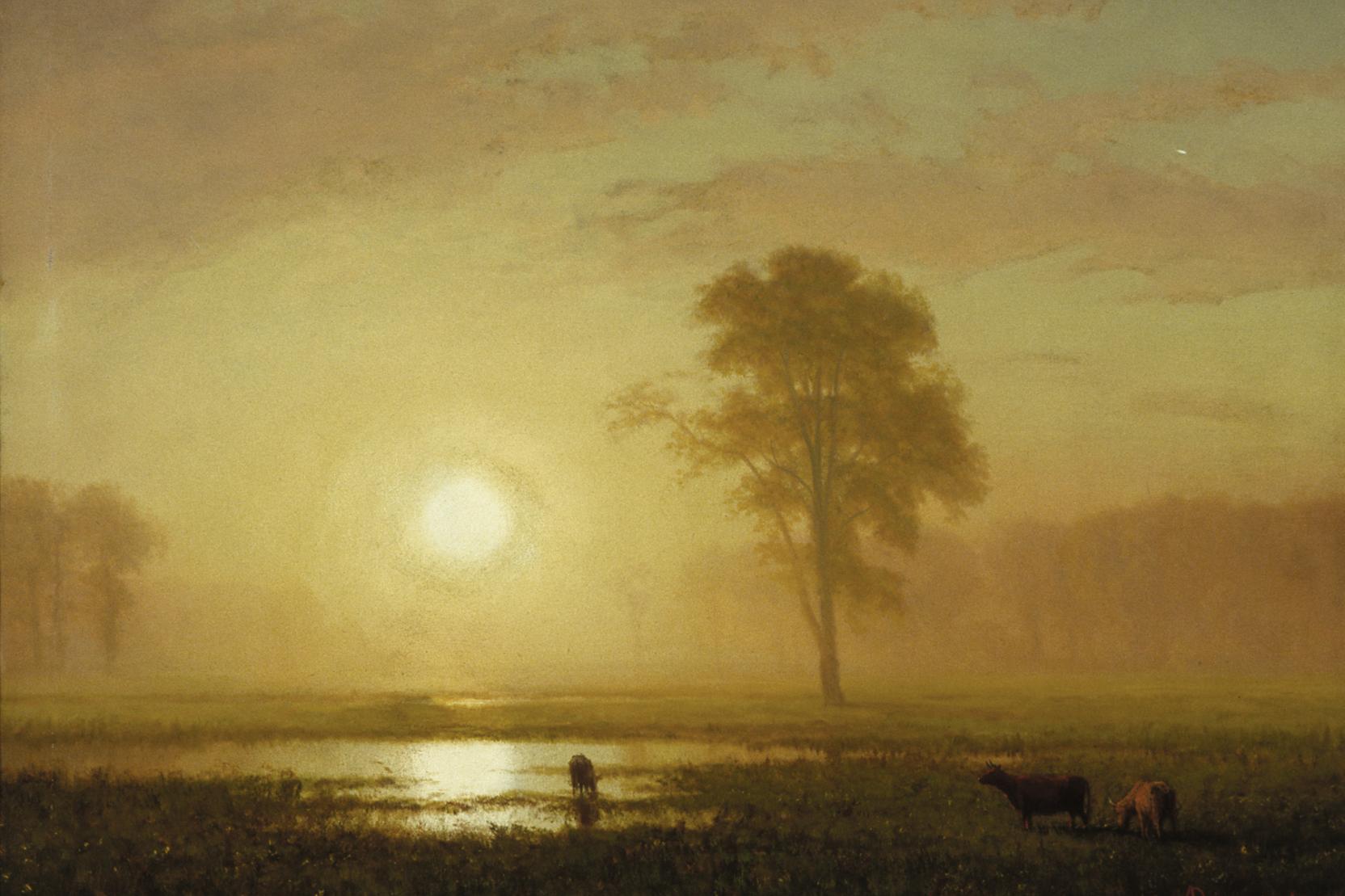 Landscape scene with cows grazing near a pond with trees and a setting sun in the hazy yellow background
