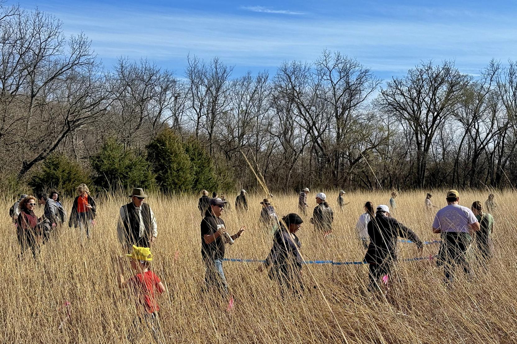 A group of people walk a winding path through tall grass