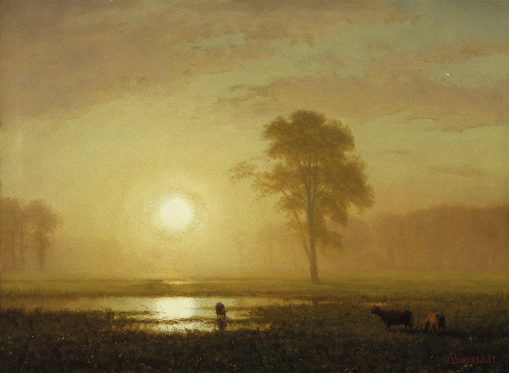 A round sun in a hazy golden sky reflects off a pond surrounded by a grassy landscape with cows and trees