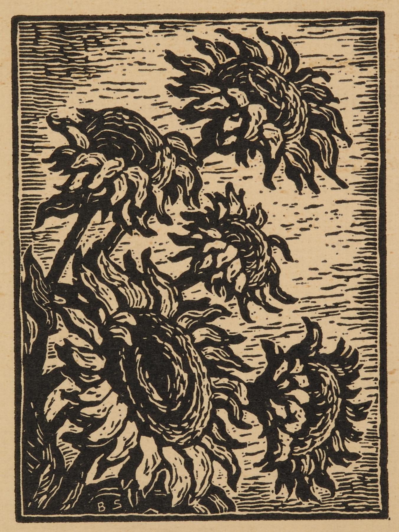 Black etching of sunflowers on brown paper that emerge from the left corner facing right 