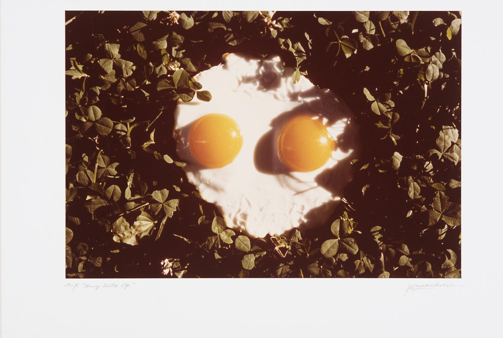  sunny side up egg with two yellow yolks lays in a bed of green clover 